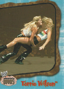 WWE Fleer Absolute Divas 2002 Trading Cards Torrie Wilson No.41 Bronze