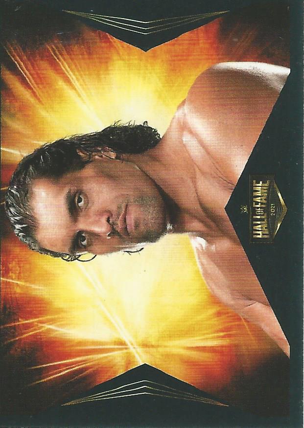 WWE Panini 2022 Sticker Collection The Great Khali No.409