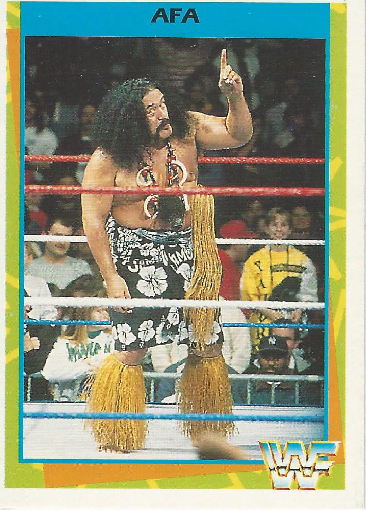 WWF Merlin Trading Card 1995 Afa No.40