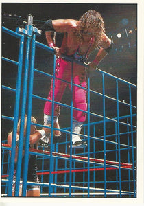 WWF Panini 1995 Sticker Collection Bret Hart vs Owen Hart No.40