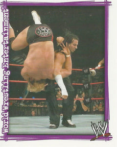 WWE Topps Superstars Uncovered Sticker Collection 2007 Matt Hardy No.40