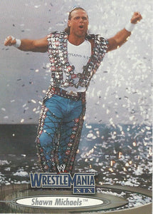 WWE Fleer Wrestlemania XIX Trading Cards 2003 Shawn Michaels No.40
