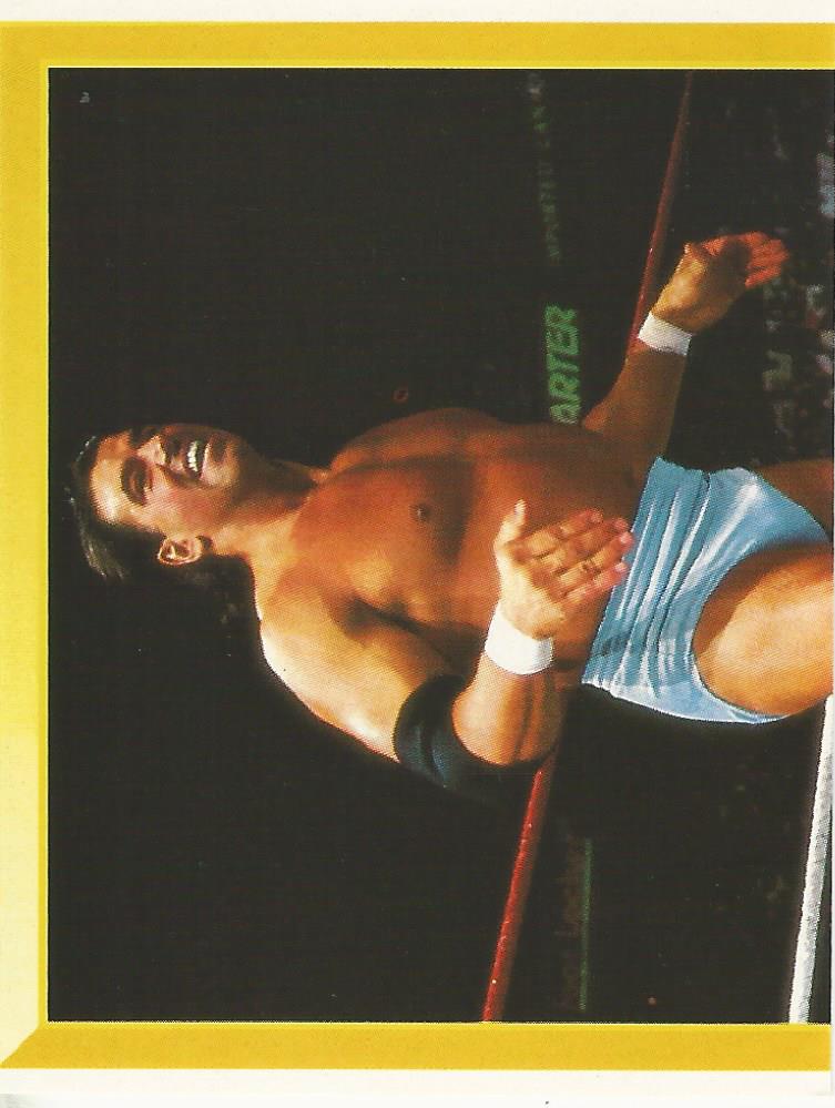 WWF Merlin Sticker Collection 1994 Rick Martel No.41