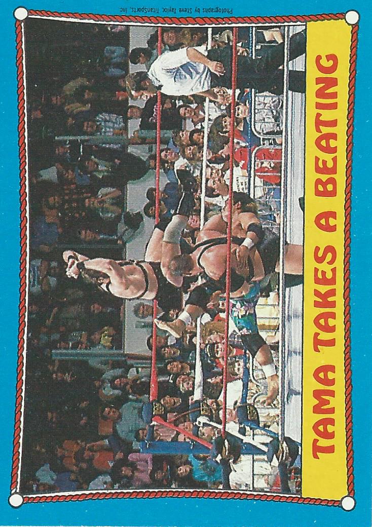 Topps WWF Wrestling Trading Cards 1987 Demolition No.41