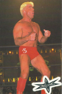 WCW Crazy Planet Stickers 1999 Ric Flair