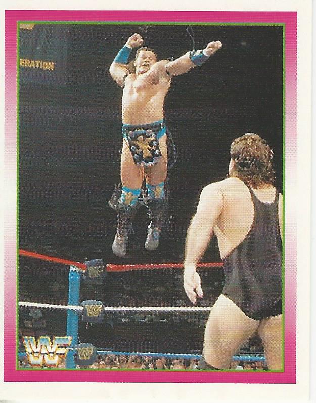 WWF Merlin Stickers 1995 Tatanka No.41