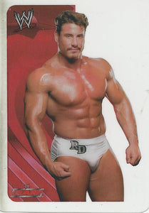 WWE Edibas Lamincards 2005 Rene Dupree No.42