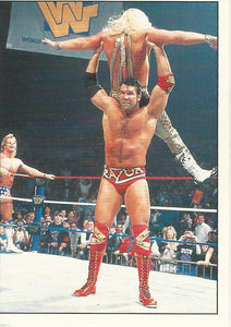 WWF Panini 1995 Sticker Collection Razor Ramon No.42