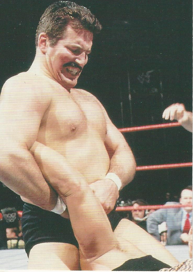 WWF Superstarz 1998 Trading Card Dan Severn No.42