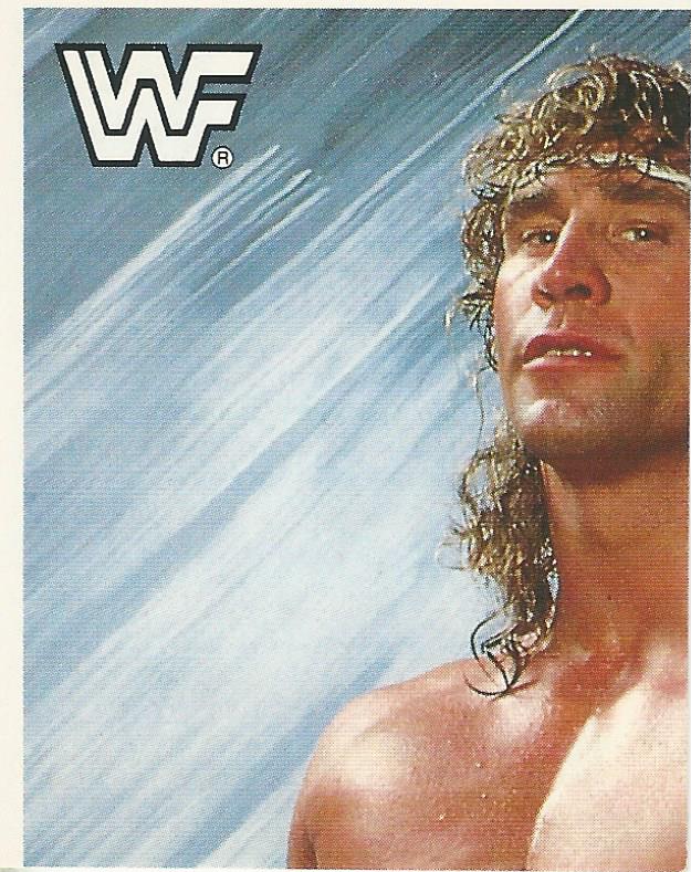 WWF Merlin Sticker Collection 1990 Texas Tornado No.42