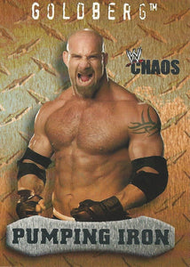 WWE Fleer Chaos Trading Cards 2004 Goldberg No.95