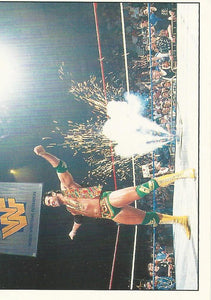 WWF Panini 1995 Sticker Collection Razor Ramon No.43