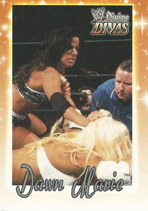 WWE Fleer Divine Divas Trading Card 2003 Dawn Marie No.43