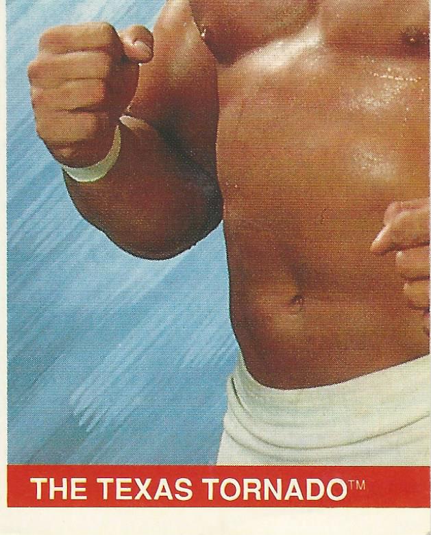 WWF Merlin Sticker Collection 1990 Texas Tornado No.44