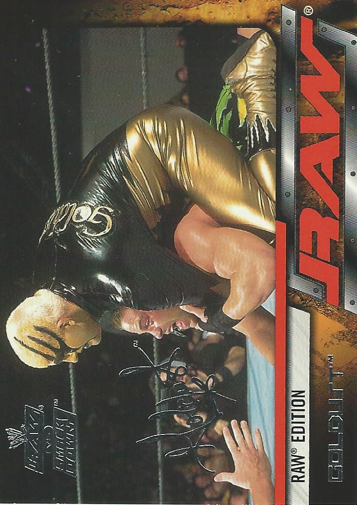 WWE Fleer Raw vs Smackdown Trading Card 2002 Goldust No.45
