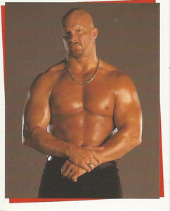 WWF Smackdown Stickers 2000 Stone Cold Steve Austin No.45