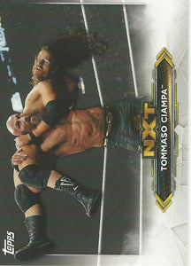 WWE Topps NXT 2020 Trading Cards Tommaso Ciampa No.45