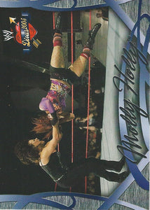 WWE Fleer Divas 2005 Trading Card Molly Holly No.45