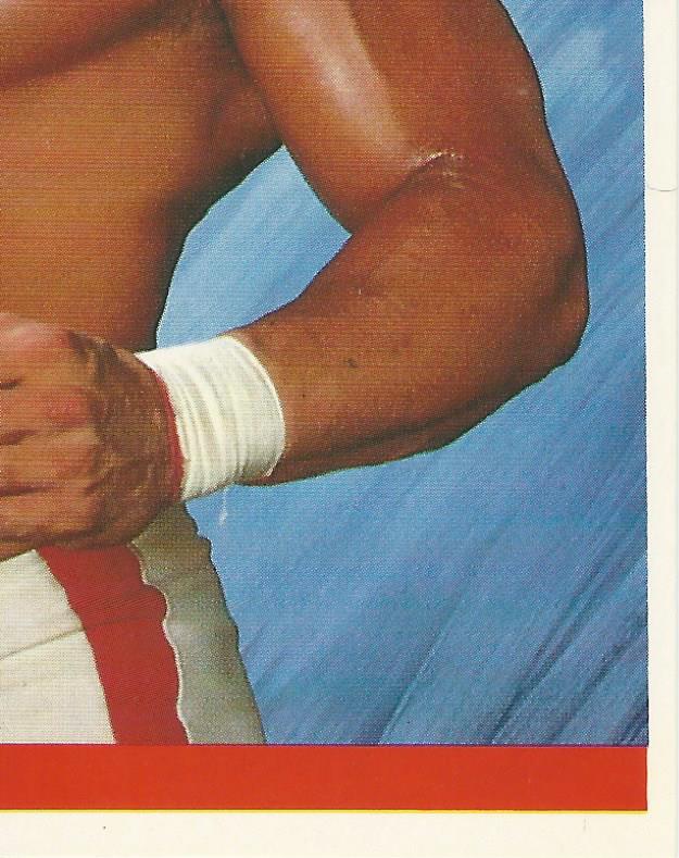 WWF Merlin Sticker Collection 1990 Texas Tornado No.45