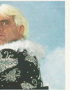 WWF Merlin Stickers 1992 Ric Flair No.46