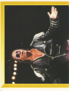 WWF Merlin Sticker Collection 1994 Bret Hitman Hart No.46