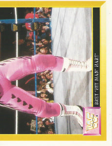 WWF Merlin Sticker Collection 1994 Bret Hitman Hart No.47