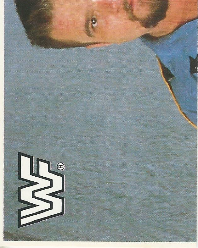 WWF Merlin Sticker Collection 1990 Big Boss Man No.47