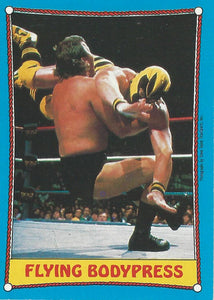 Topps WWF Wrestling Trading Cards 1987 Killer Bees No.47