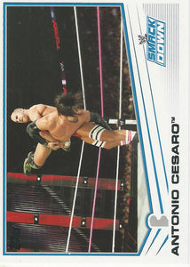 WWE Topps 2013 Trading Cards Cesaro No.47