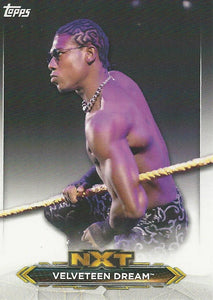 WWE Topps NXT 2020 Trading Cards Velveteen Dream No.48