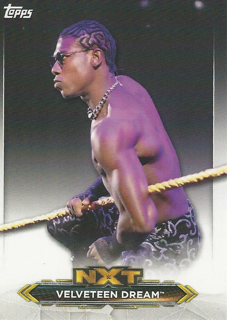 WWE Topps NXT 2020 Trading Cards Velveteen Dream No.48