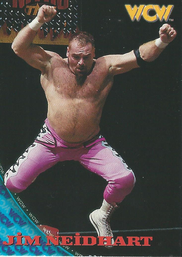 WCW/NWO Topps 1998 Trading Card Jim Neidhart No.48