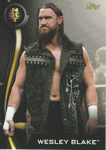 WWE Topps NXT 2019 Trading Cards Wesley Blake No.48