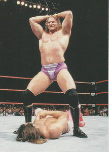 WWF Superstarz 1998 Trading Card Val Venis No.48