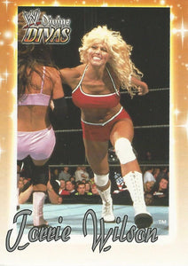 WWE Fleer Divine Divas Trading Card Torrie Wilson No.48