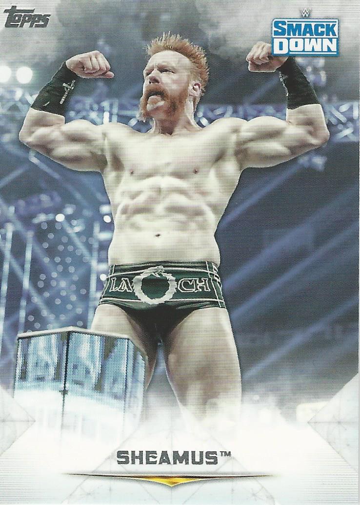 WWE Topps Undisputed 2020 Trading Card Sheamus No.48