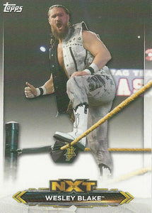 WWE Topps NXT 2020 Trading Cards Wesley Blake No.49