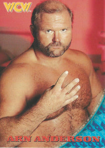 WCW/NWO Topps 1998 Trading Card Arn Anderson No.49