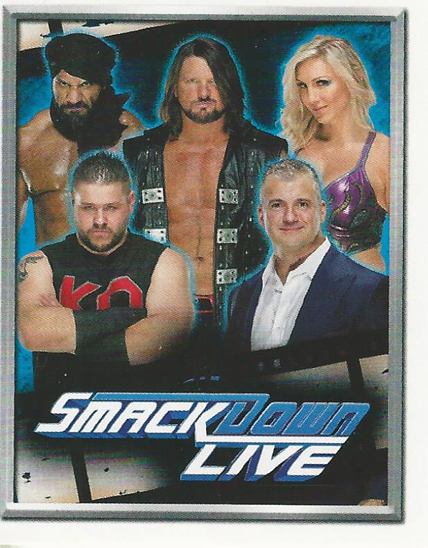 WWE Topps 2018 Stickers Smackdown Roster No.4