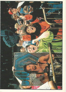 WWF Panini 1995 Sticker Collection Crowd No.4