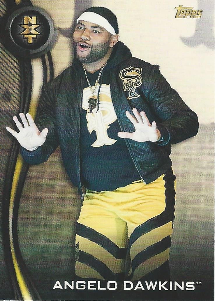 WWE Topps NXT 2019 Trading Cards Angelo Dawkins No.4