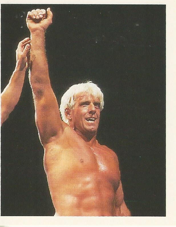 WWF Merlin Stickers 1992 Ric Flair No.50