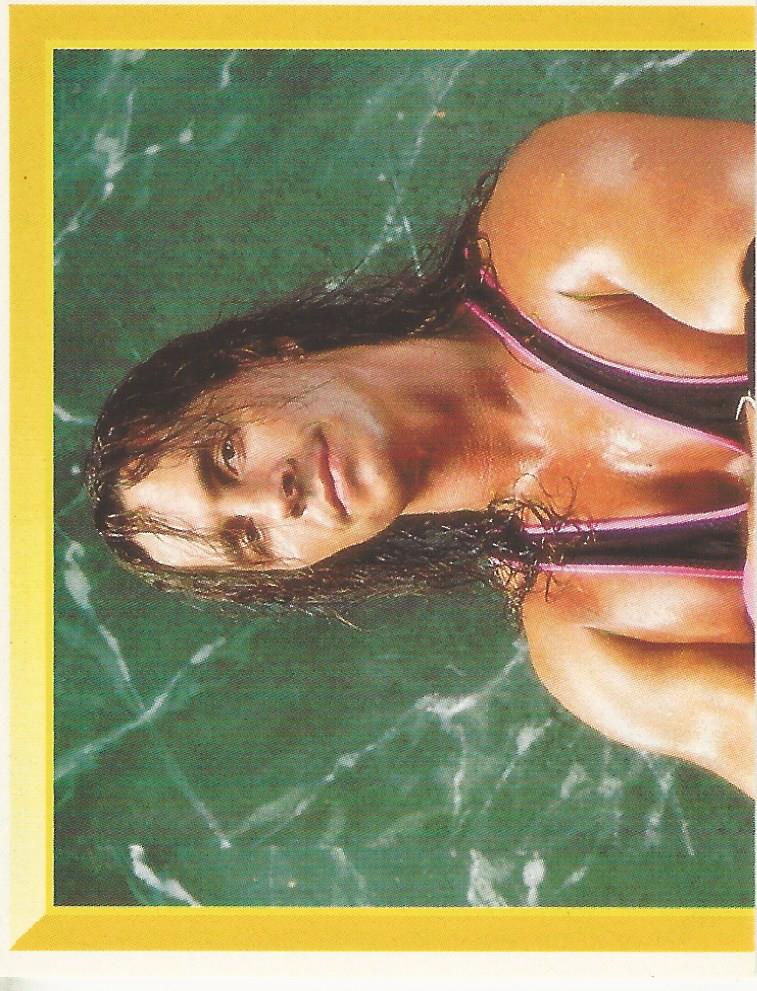 WWF Merlin Sticker Collection 1994 Bret Hitman Hart No.50