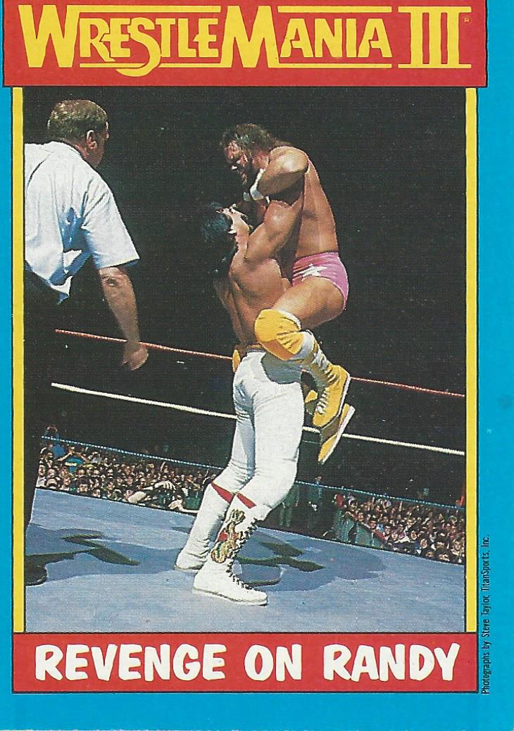 Topps WWF Wrestling Trading Cards 1987 Ricky Steamboat No.50
