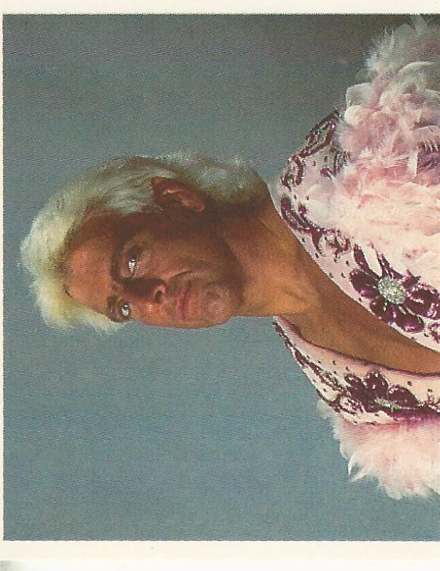 WWF Merlin Stickers 1992 Ric Flair No.51