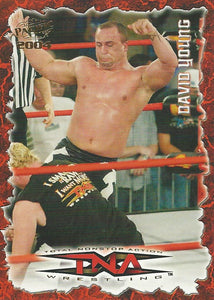 TNA Pacific Trading Cards 2004 David Young No.53