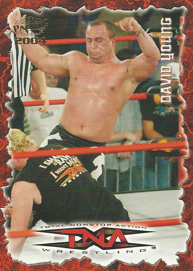 TNA Pacific Trading Cards 2004 David Young No.53