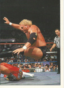 WWF Panini 1995 Sticker Collection Sid No.54
