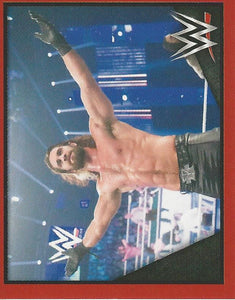 WWE Topps Then Now Forever 2016 Stickers Seth Rollins No.55