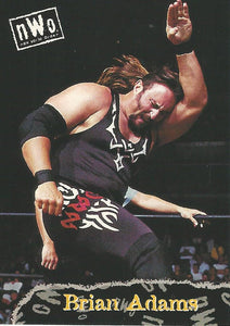 WCW/NWO Topps 1998 Trading Card Brian Adams No.55